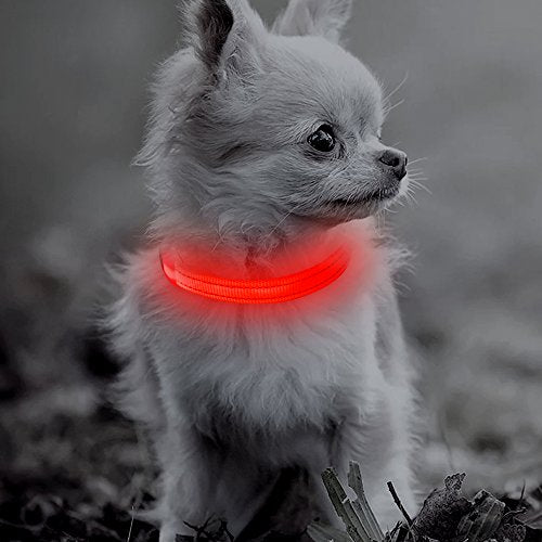 Light Up Dog Collar for Small Dogs (Red) - color: Red