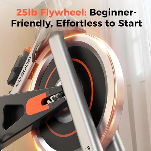 YOSUDA Exercise Bike, Magnetic Friction Stationary Bike with App Training - color: Orange