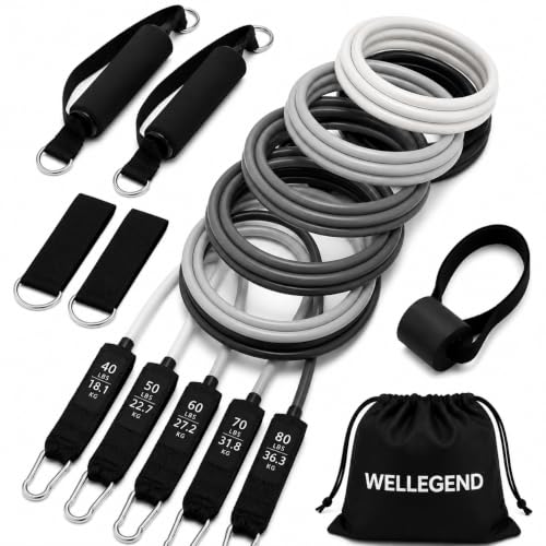 WELLEGEND Resistance Bands Set with Complete Workout Accessories