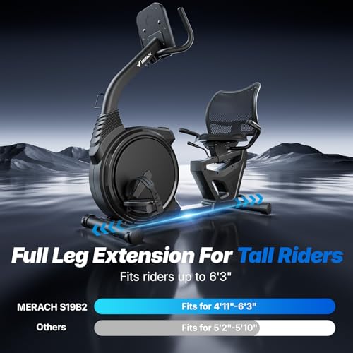 MERACH Recumbent Exercise Bikes for Home High-end - color: Commercial Black