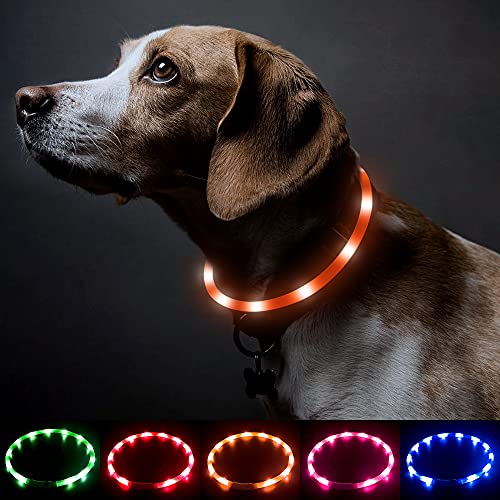 BSEEN Light Up Dog Collar, Glowing LED Dog Collar Rechargeable Cuttable Lighted Puppy Collar Safety Dog Lights Makes Your Beloved Dogs Be Seen at Night(Orange) - color: Orange-Standard(70cm)