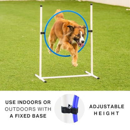 Better Sporting Dogs 3 Piece Dog Agility Equipment Set