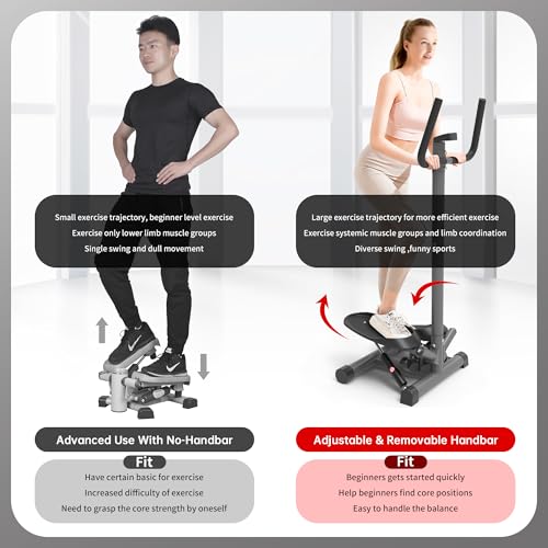 leikefitness Premium Portable Twist Stair Stepper Adjustable Resistance, Twisting Step Fitness Machine with Handbar and LCD Monitor (ST6619-Black)