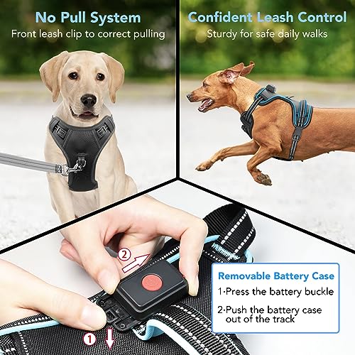 Light Up Dog Harness, Rechargeable LED Dog Vest for Night Walking - color: Black-Blue, size: S