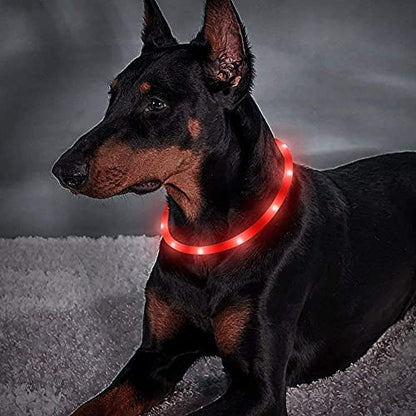 BSEEN Light Up Dog Collar, Silicone LED Dog Collar Rechargeable Cat Collar Cuttable Glowing Puppy Necklace Safety Dog Lights for Night Walking (Red) - color: Red-Standard(70cm)
