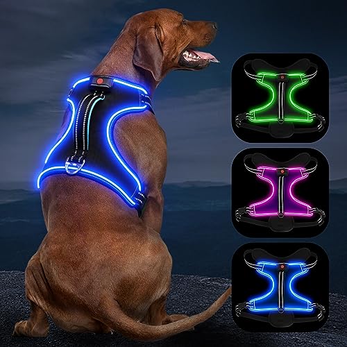 Light Up Dog Harness, Rechargeable LED Dog Vest for Night Walking - color: Black-Blue, size: M