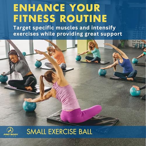 ProBody Pilates Ball Small — 9 Inch Small Exercise Ball - color: Pink