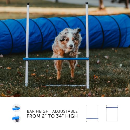 Better Sporting Dogs 3 Piece Dog Agility Equipment Set