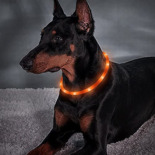 BSEEN Light Up Dog Collar, Glowing LED Dog Collar Rechargeable Cuttable Lighted Puppy Collar Safety Dog Lights Makes Your Beloved Dogs Be Seen at Night(Orange) - color: Orange-Standard(70cm)