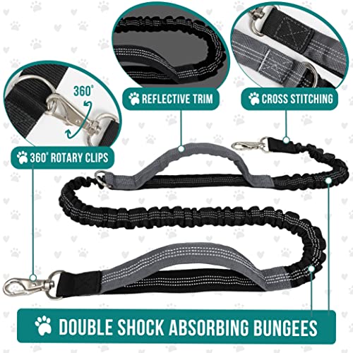 PetAmi Hands Free Dog Leash, Running Leash Belt Bag for Walking, Jogging, Waist Double Zipper Pouch with Poop Dispenser, Dual Padded Handles Reflective Bungee Single, Purple, 1 Leash - color: Purple, size: 1 Leash