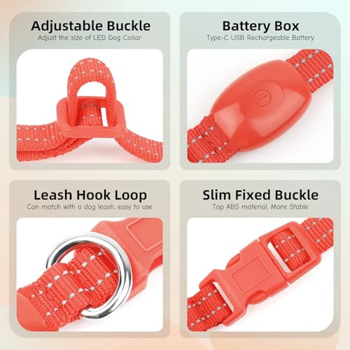 Light Up Dog Collar for Small Dogs (Red) - color: Red