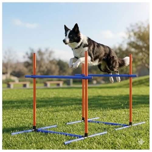 Dog Agility Equipment Set with Tunnel & Obstacles for Training - size: 2