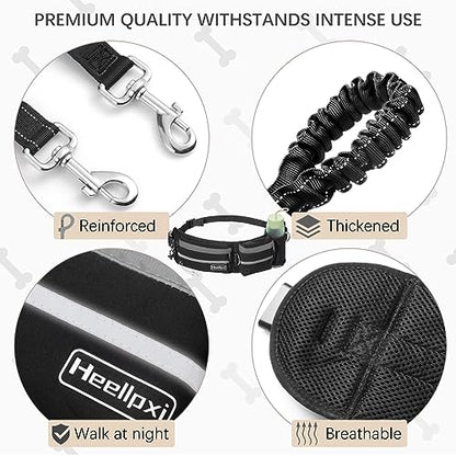 Hands-Free Waist Leash with Pouch for Two Dogs: Reflective Stitching, Dual Handle & Bungee Retractable Design – Ideal for Medium to Large Dogs (Grey) – Dog Walking Accessories - color: Grey