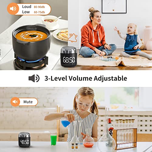 Kitchen Timer, 360 Rotate, Countup/Countdown, LED, Volume - color: Silver