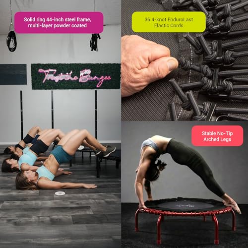 JumpSport 550 Workout Rebounder for Adults, 44" | PRO CE | Mini Exercise Fitness Trampoline Jumper with Cables | Black - color: Red, style: Solid Frame / Skirt Mat