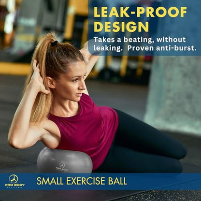 ProBody Pilates Ball Small — 9 Inch Small Exercise Ball - color: Silver