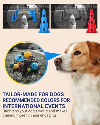 Dog Agility Course Backyard Set, Dog Agility Hurdle Cone Set - color: Blue, size: 18 IN