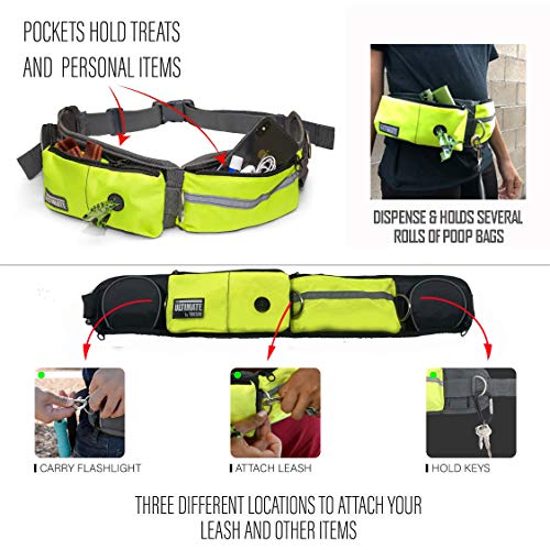 TAKSIN The Ultimate Hands Free Two Dogs Double Leash System for Walking Running Hiking Training, Reflective Bungee Leash, Treat Holder, Poop Bag Dispenser Small Medium Large Dogs (Yellow Deluxe Pack) - color: Yellow, size: Two Dogs