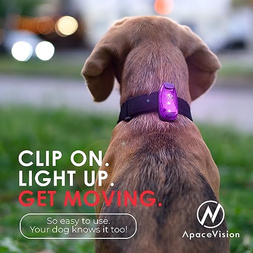 LED Safety Light (2 Pack) with Bonus Items – Clip On Strobe/Running Lights for Runners, Dogs, Bikes, Walking and More - color: Purple