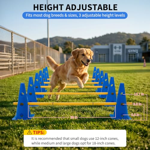 TrailBlaze Dog Agility Equipment Training Set, 12 Pack 32cm Plastic Agility Cones with 6 Adjustable Agility Jump Rods, for Puppy Medium Large Dogs Outdoor Backyard Exercise