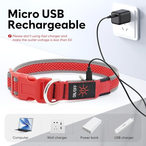 Flashseen LED Dog Collar, Light Up Dog Collar USB Rechargeable, Red, S - color: Red, size: Small