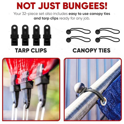 FORTEM Bungee Cords with Hooks, 32pk 10" 18" 24" 32" 40 Bungees & Tarp Ties - size: Pack of 32 Standard (10", 18", 24", 32", 40")