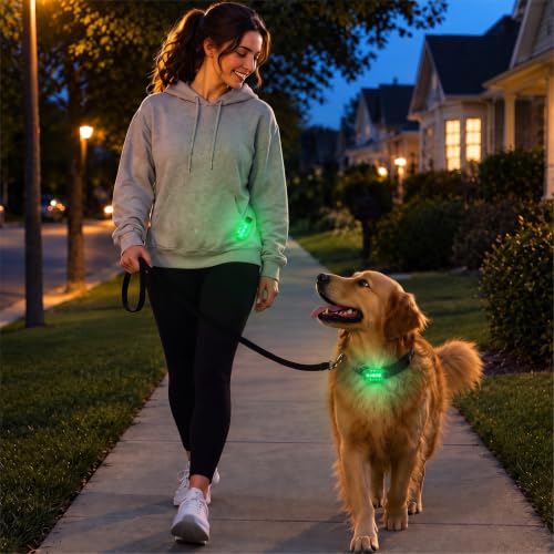 Copkim 30/60/100 Pcs LED Running Light Bulk - color: Green