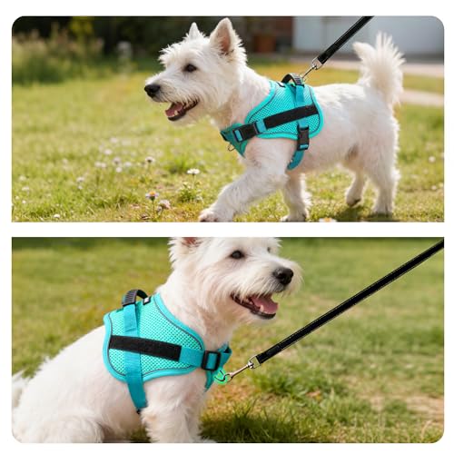 AIITLE No-Pull Dog Harness Reflective Mesh Vest Adjustable, Green S - color: Green, size: S