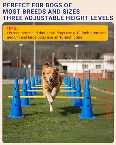 Dog Agility Course Backyard Set, Dog Agility Hurdle Cone Set - color: Blue, size: 18 IN
