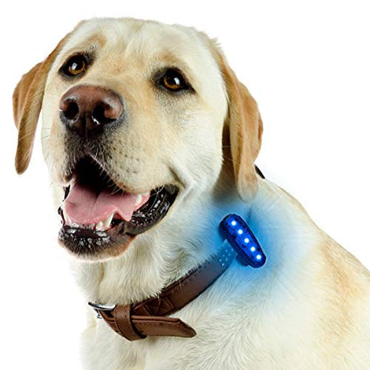 USB-C Rechargeable LED Safety Lights (2 Pack) - Clip on Strobe Running Lights for Runners, Joggers,Walkers,Kids,Dogs,Bike Tail Lights - High Visibility Accessories for Reflective Gear - color: Blue