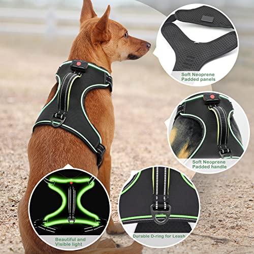 Light Up Dog Harness, Rechargeable LED Dog Vest for Night Walking - color: Black-Green, size: M