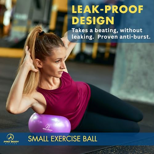 ProBody Pilates Ball Small — 9 Inch Small Exercise Ball - color: Purple