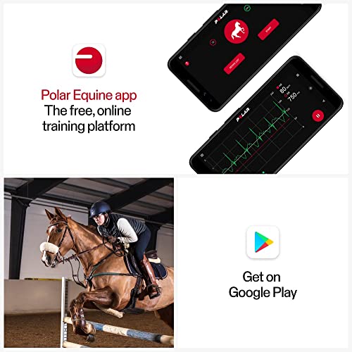 Polar Equine - Pferde Reitsport Trab - H10 Herzfrequenz-Sensor - Wasserdichter Pulssensor mit Brustgurt