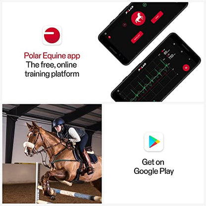 Polar Equine - Pferde Reitsport Trab - H10 Herzfrequenz-Sensor - Wasserdichter Pulssensor mit Brustgurt