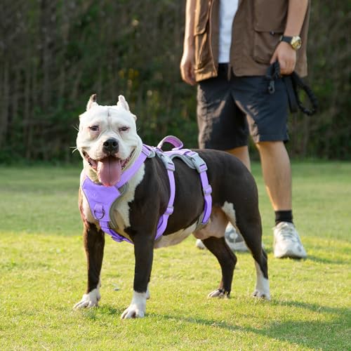Huntboo Escape Proof Dog Harness, Escape Artist Harness, Reflective Harness with Padded Handle, Breathable, Adjustable Vest for Medium Dogs Walking, Training, and Running Gear (Lavender Purpled, M) - color: Lavender Purple, size: Medium(Pack of 1)