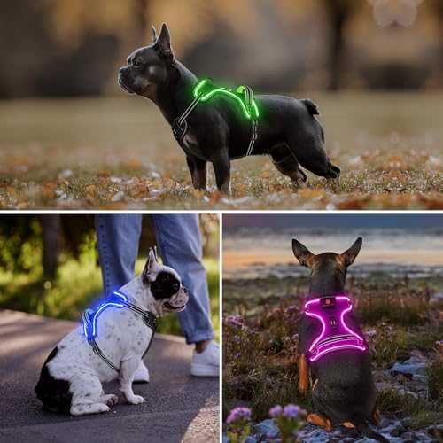 Light Up Dog Harness, Rechargeable LED Dog Vest for Night Walking - color: Purple-Pink, size: XL