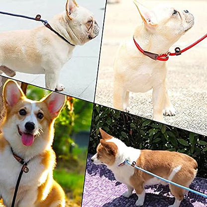 MayPaw Slip Lead Control Leash for Dogs No Pull, 13+ Colors Classic Dog Lead 7 FT Pet Slip Leash, 1/4” Rope Leashes for Small Medium Animals (7ft*1/4", Turquoise) - color: turquoise