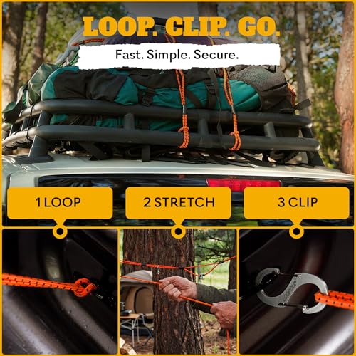 LoopRope 5ft Heavy Duty Bungee Cord Tie Down System with 4 Carabiners Pack - color: Pink