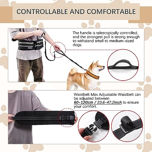 Hands-Free Waist Leash with Pouch for Two Dogs: Reflective Stitching, Dual Handle & Bungee Retractable Design – Ideal for Medium to Large Dogs (Grey) – Dog Walking Accessories - color: Grey