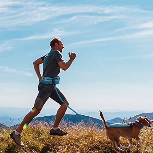 Kruz Hands Free Dog Leash (Waist 26”- 48”, Leash- 1”x 5ft) Premium Waist Belt for Walking, Running & Hike Bungee with Dual Handles, Adjustable Fit, Reflective Safety Design for Large Dogs (Turquoise) - color: Turquoise