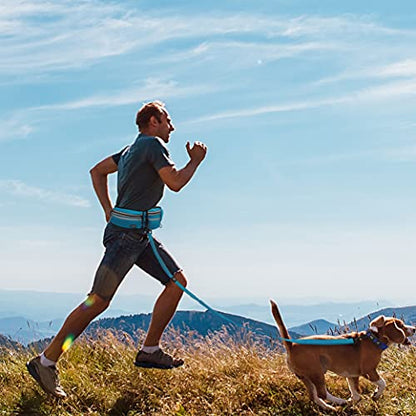 Kruz Hands Free Dog Leash (Waist 26”- 48”, Leash- 1”x 5ft) Premium Waist Belt for Walking, Running & Hike Bungee with Dual Handles, Adjustable Fit, Reflective Safety Design for Large Dogs (Turquoise) - color: Turquoise