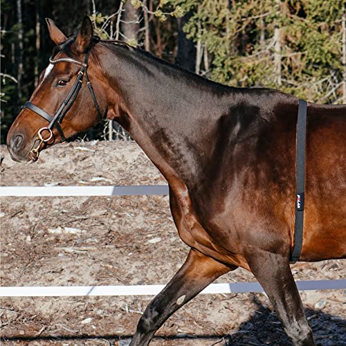 Polar Equine - Pferde Reitsport Trab - H10 Herzfrequenz-Sensor - Wasserdichter Pulssensor mit Brustgurt