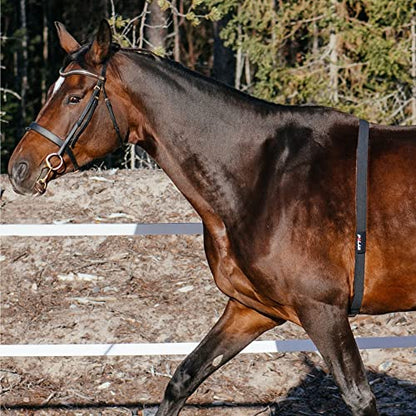 Polar Equine - Pferde Reitsport Trab - H10 Herzfrequenz-Sensor - Wasserdichter Pulssensor mit Brustgurt