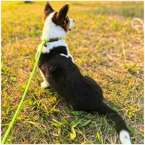 MayPaw Slip Lead Control Leash for Dogs No Pull, 13+ Colors Classic Dog Lead 7 FT Pet Slip Leash, 1/4” Rope Leashes for Small Medium Animals (7ft*1/4", Green) - color: green