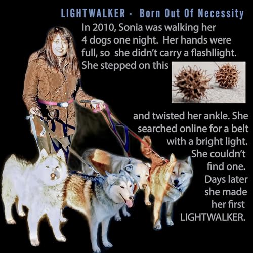 Re-Designed Belt with 2 USB Rechargeable Lights A Bright Front LED & COB and Back Light Strip On Belt for Safety and Visibility, Brighter Than Reflective Gear, for Night Runners & Dog Walking