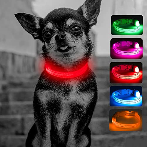 Light Up Dog Collar for Small Dogs (Red) - color: Red