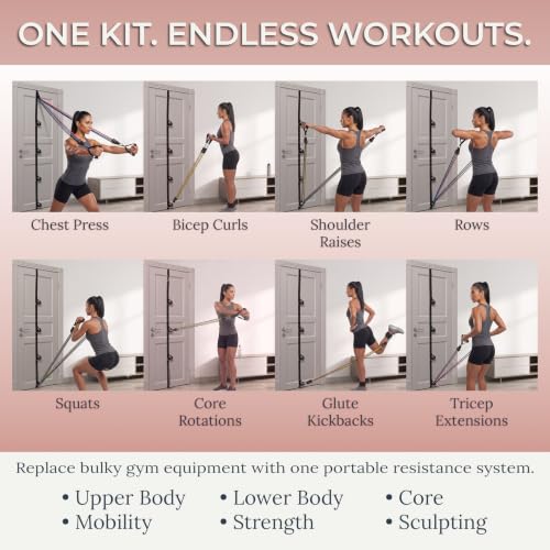 Resistance Bands with Door Anchor System, Natural Rubber Tube Resistance Bands with Handles, Anti-Snap Full Body Workout Bands with Multiple Levels for Home Gym, Strength Training & Rehabilitation