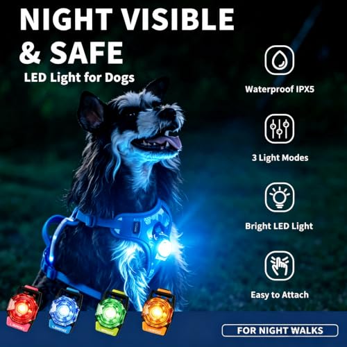 LaRoo Dog Collar Light, 13g Ultra-Light USB Rechargeable LED Dog Lights, IPX6 Waterproof 3 Modes Clip-On Pet Safety Light for Night Walking, Hiking & Camping - Blue - color: Blue