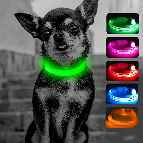 Light Up Dog Collar for Small Puppies (Neon Green) - color: Neon Green