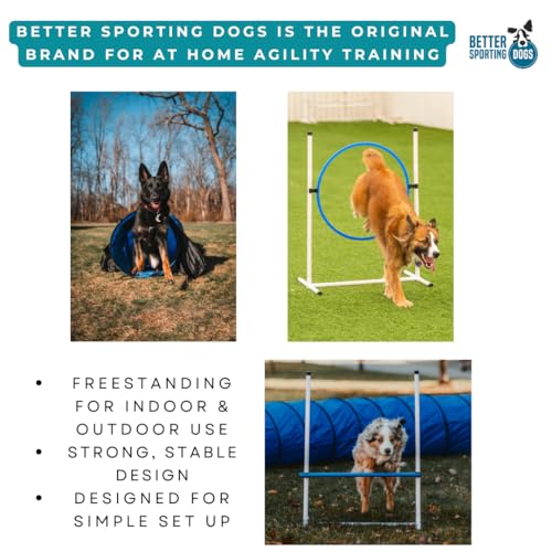 Better Sporting Dogs 3 Piece Dog Agility Equipment Set